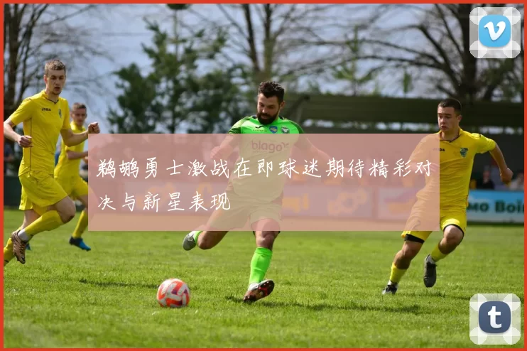 鹈鹕勇士激战在即球迷期待精彩对决与新星表现