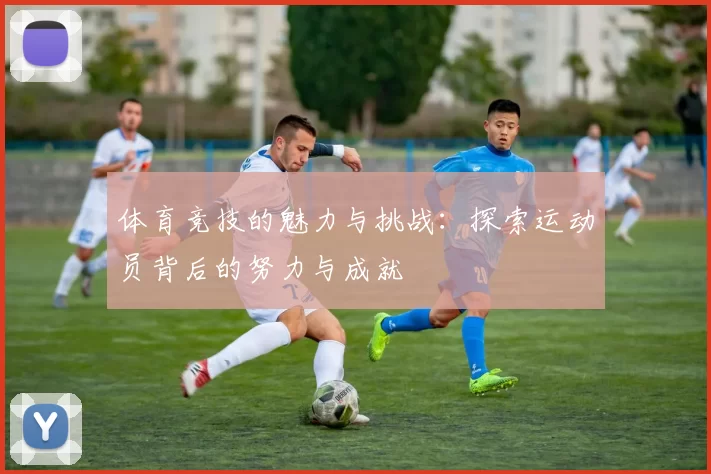 体育竞技的魅力与挑战：探索运动员背后的努力与成就