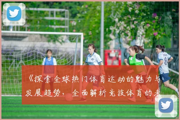 《探索全球热门体育运动的魅力与发展趋势，全面解析竞技体育的未来之路》