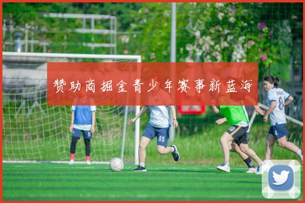 赞助商掘金青少年赛事新蓝海