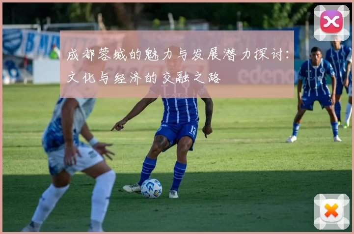 成都蓉城的魅力与发展潜力探讨：文化与经济的交融之路