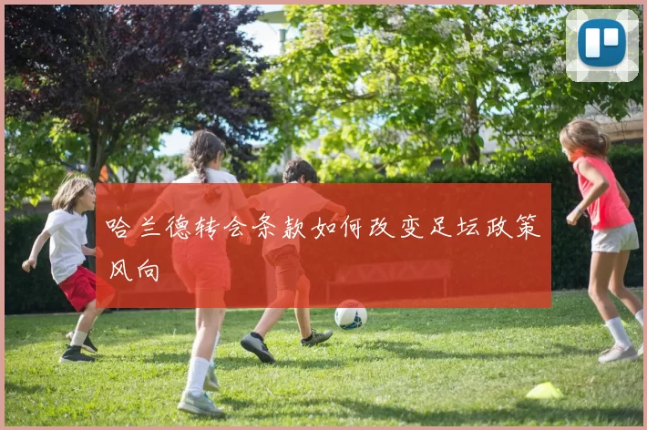 哈兰德转会条款如何改变足坛政策风向