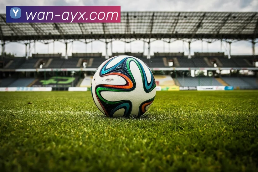 多媒体互动体验